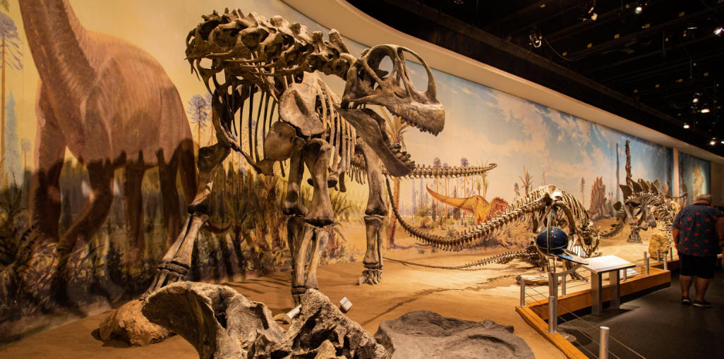 Discover dinosaur fossil treasures at Alberta’s Royal Tyrrell museum